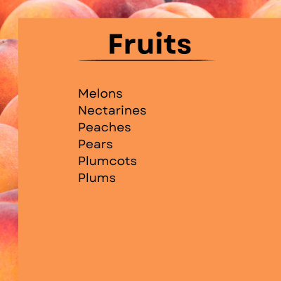 Content available in PDF linked below.